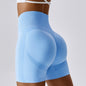 Seamless Yoga Shorts