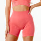 Shorts Gym Seamless Shorts